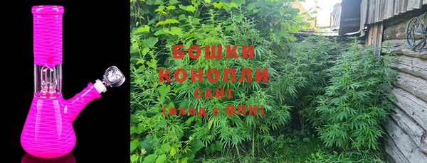 ПСИЛОЦИБИНОВЫЕ ГРИБЫ Абаза