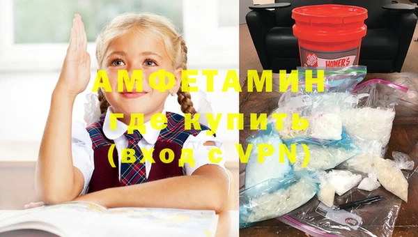 ПСИЛОЦИБИНОВЫЕ ГРИБЫ Абаза