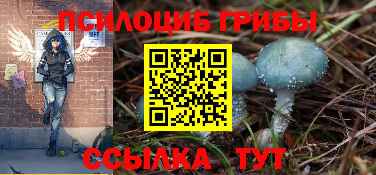 Псилоцибиновые грибы Magic Shrooms Ялуторовск